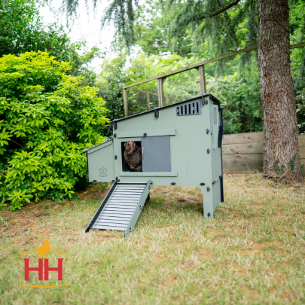 Picture of Lean-To Easy Clean Chicken Coop Web, 6 Chicken Capacity