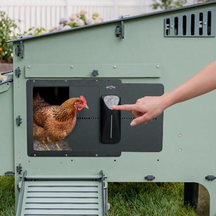 Picture of Lean-To Easy Clean Chicken Coop, 6 Chick Cap w/Door Opener